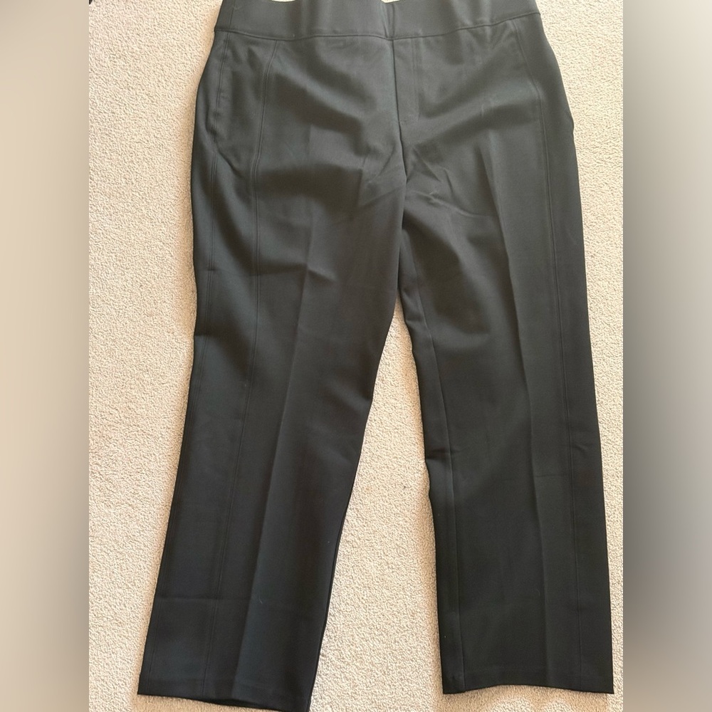 SPANX 3X Everyday Pants
